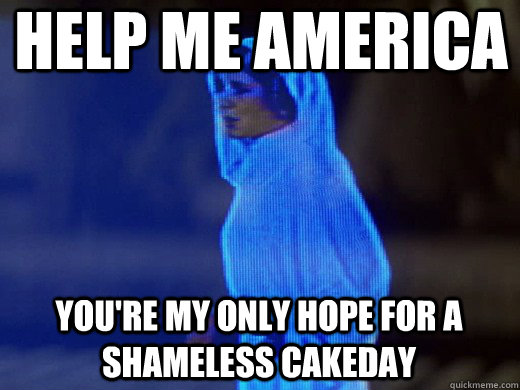 Help me America you're my only hope for a shameless cakeday - Help me America you're my only hope for a shameless cakeday  Princess Leia Only Hope