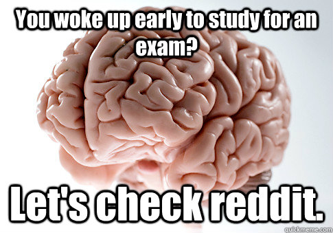 You woke up early to study for an exam? Let's check reddit.  - You woke up early to study for an exam? Let's check reddit.   Scumbag Brain