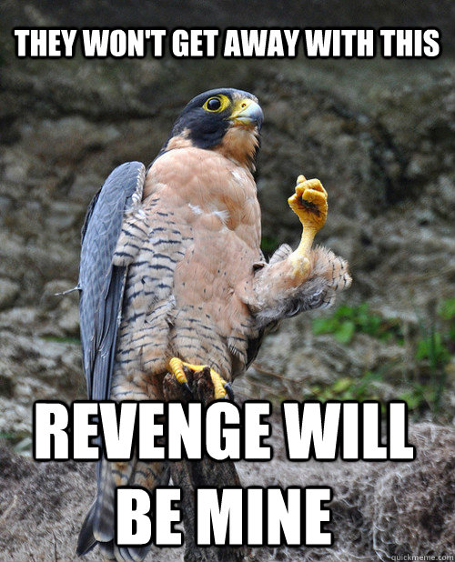 They won't get away with this Revenge Will be mine - They won't get away with this Revenge Will be mine  Proud Falcon