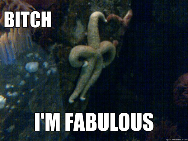 Bitch I'm fabulous     Sassy Starfish