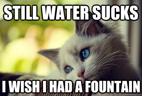 still water sucks i wish i had a fountain - still water sucks i wish i had a fountain  First World Cat Problems