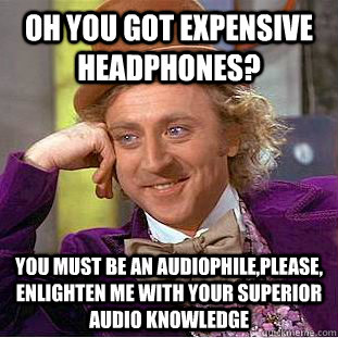 Oh you got expensive headphones? You must be an audiophile,Please, enlighten me with your superior audio knowledge  Condescending Wonka