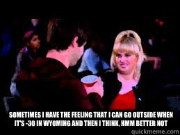 Sometimes I have the feeling that I can go outside when it's -30 in Wyoming and then I think, hmm better not - Sometimes I have the feeling that I can go outside when it's -30 in Wyoming and then I think, hmm better not  Fat Amy Meme