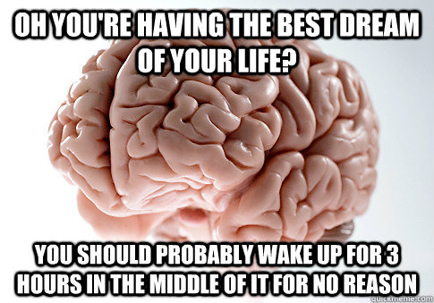 Oh you're having the best dream of your life? You should probably wake up for 3 hours in the middle of it for no reason  Scumbag Brain