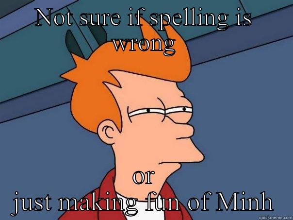 NOT SURE IF SPELLING IS WRONG OR JUST MAKING FUN OF MINH Futurama Fry