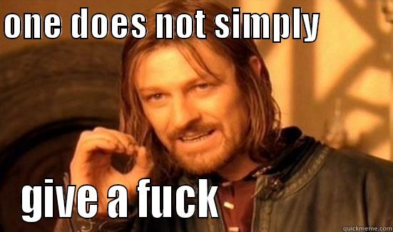 ONE DOES NOT SIMPLY           GIVE A FUCK                    Boromir