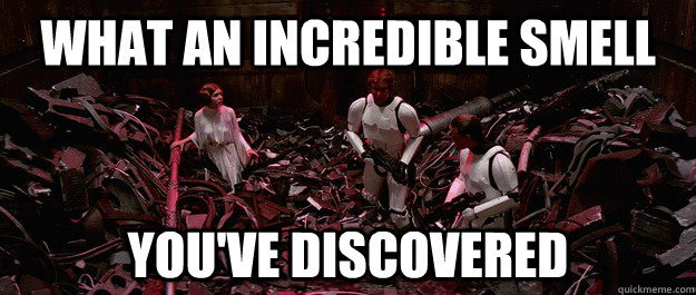 what an incredible smell  you've discovered - what an incredible smell  you've discovered  Misc