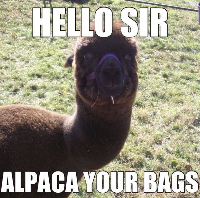 HELLO SIR ALPACA YOUR BAGS  