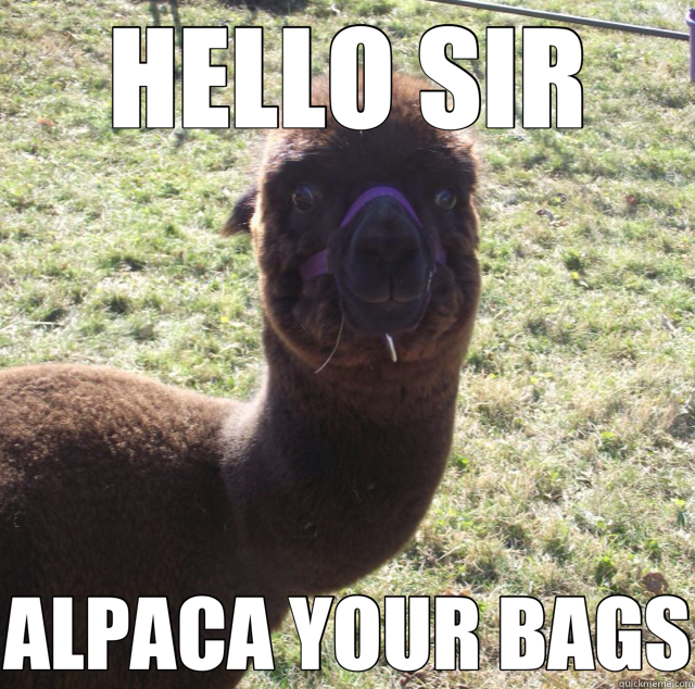 HELLO SIR ALPACA YOUR BAGS - HELLO SIR ALPACA YOUR BAGS  Misc