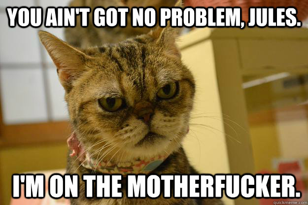 You ain't got no problem, Jules.  I'm on the motherfucker.  Angry Cat