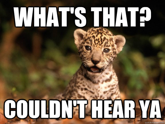 What's that? Couldn't hear ya  Def Leopard