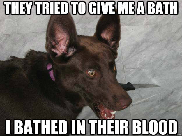 They tried to give me a bath I bathed in their blood  