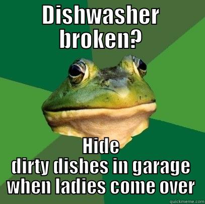 DISHWASHER BROKEN? HIDE DIRTY DISHES IN GARAGE WHEN LADIES COME OVER Foul Bachelor Frog