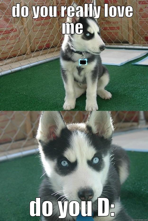 DO YOU REALLY LOVE ME DO YOU D: Insanity puppy