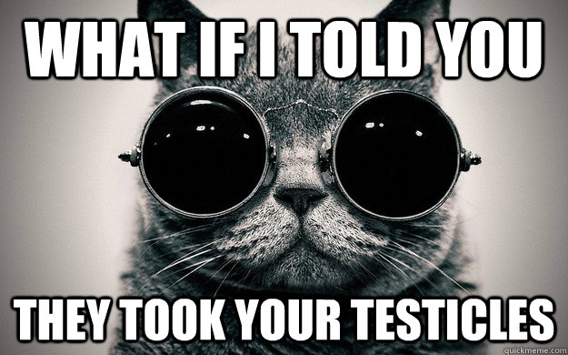What if i told you They took your testicles - What if i told you They took your testicles  Morpheus Cat Facts