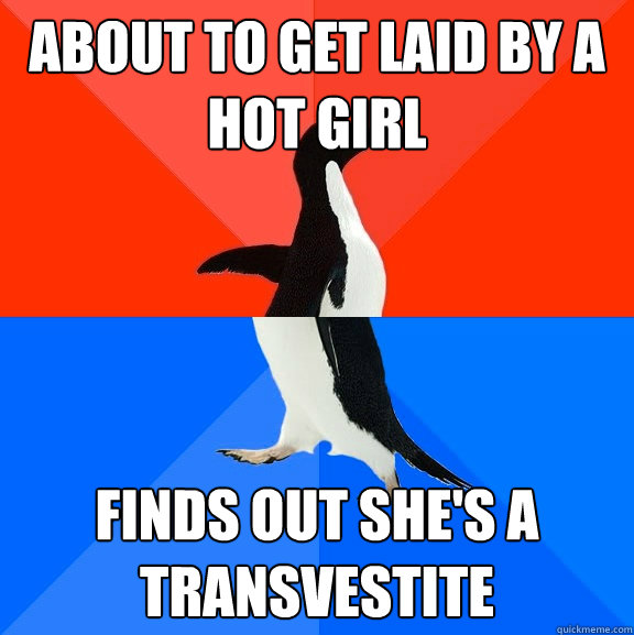 About to get laid by a hot girl finds out she's a transvestite   Socially Awesome Awkward Penguin