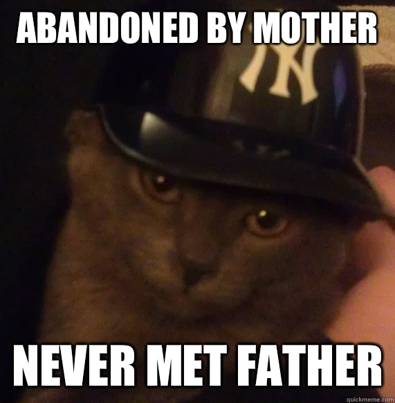 abandoned by mother never met father  Ghetto Cat