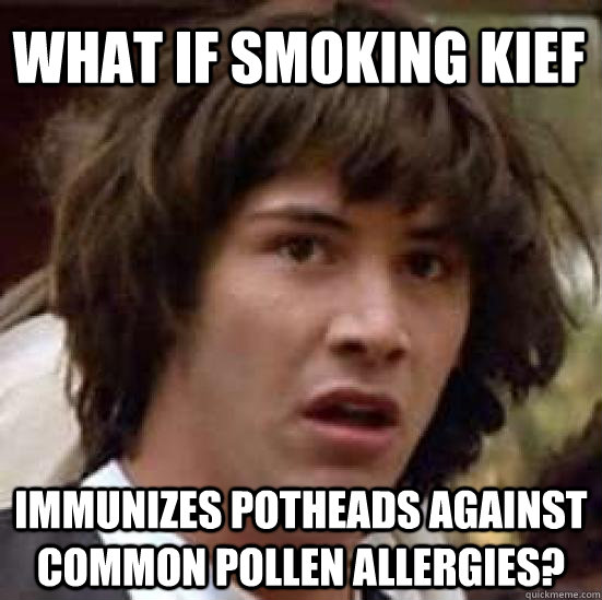 What if smoking kief  immunizes potheads against common pollen allergies? - What if smoking kief  immunizes potheads against common pollen allergies?  conspiracy keanu