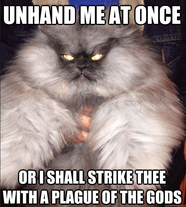 unhand me at once  or i shall strike thee with a plague of the gods  Evil Cat