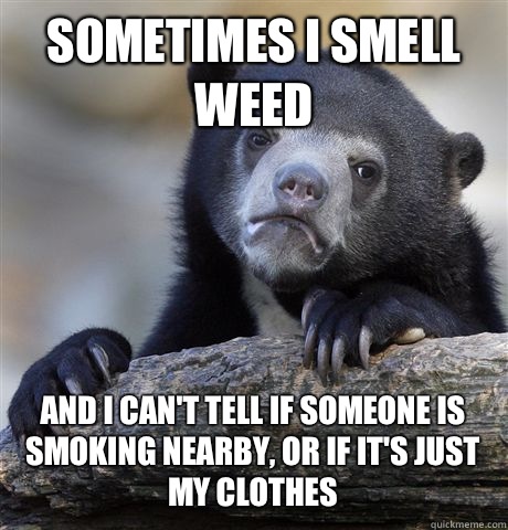 SOMETIMES I SMELL WEED AND I CAN'T TELL IF SOMEONE IS SMOKING NEARBY, OR IF IT'S JUST MY CLOTHES - SOMETIMES I SMELL WEED AND I CAN'T TELL IF SOMEONE IS SMOKING NEARBY, OR IF IT'S JUST MY CLOTHES  Confession Bear