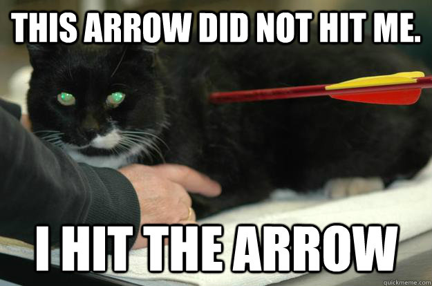 This arrow did not hit me. I HIT THE ARROW - This arrow did not hit me. I HIT THE ARROW  Worlds Toughest Cat