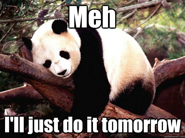 Meh I'll just do it tomorrow  Procrastination Panda