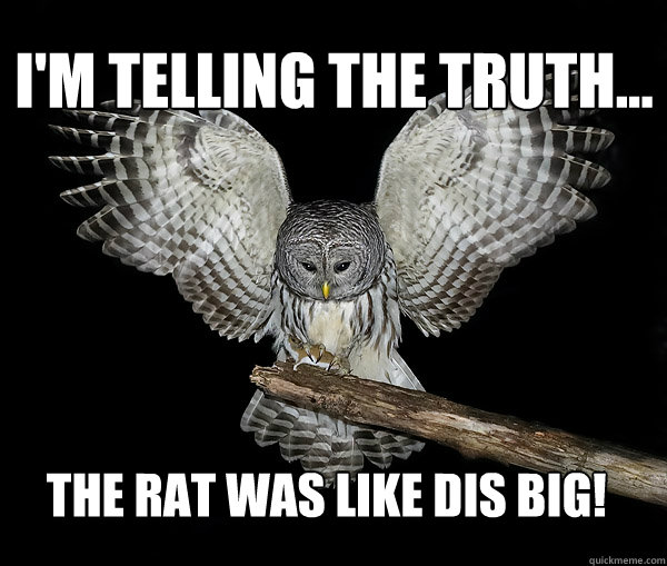 1cdbb9e85cf5d30bf6d0c6970adf94ae54125218