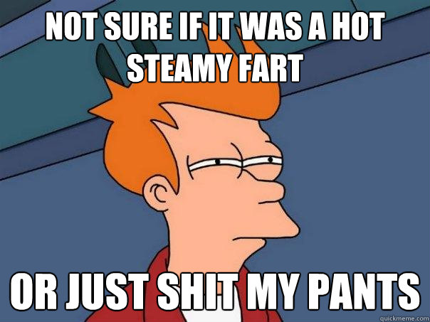 Not sure if it was a hot steamy fart Or just shit my pants  Futurama Fry