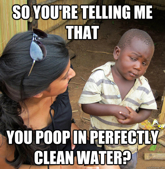 So you're telling me that  you poop in perfectly clean water? - So you're telling me that  you poop in perfectly clean water?  Misc