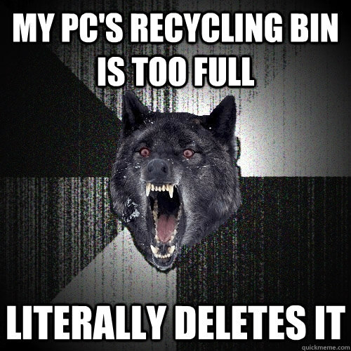 My pc's recycling bin is too full Literally deletes it  Insanity Wolf