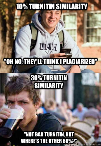 10% turnitin similarity 