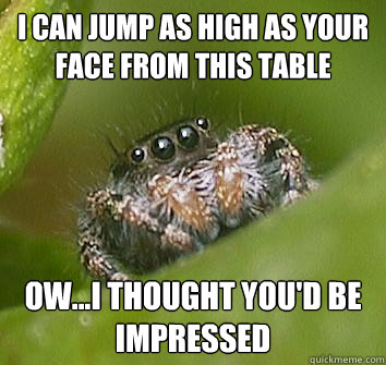 i can jump as high as your face from this table ow...i thought you'd be impressed  Misunderstood Spider