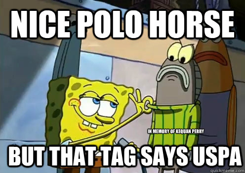 Nice POLO HORSE BUT THAT TAG SAYS USPA in memory of kequan perry  