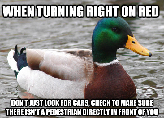 When turning right on red Don't just look for cars, check to make sure there isn't a pedestrian directly in front of you  Actual Advice Mallard