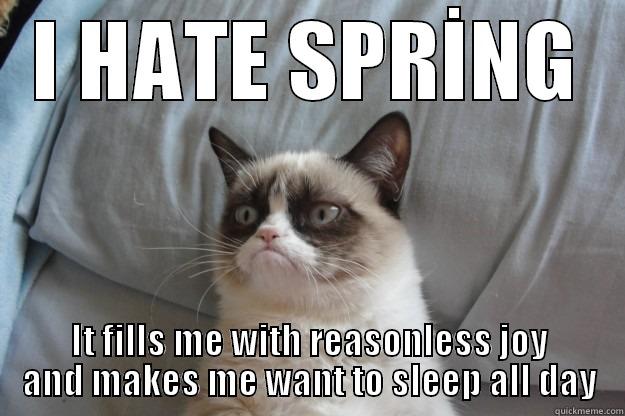 I HATE SPRİNG IT FILLS ME WITH REASONLESS JOY AND MAKES ME WANT TO SLEEP ALL DAY Grumpy Cat