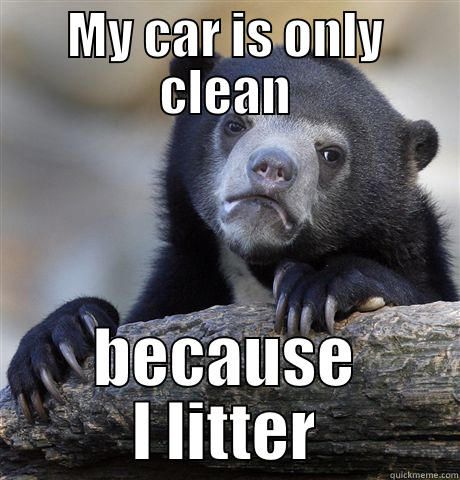 MY CAR IS ONLY CLEAN BECAUSE I LITTER Confession Bear