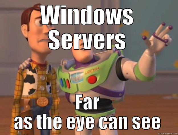 Tech support - WINDOWS SERVERS FAR AS THE EYE CAN SEE Toy Story