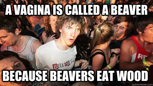 A VAGINA IS CALLED A BEAVER BECAUSE BEAVERS EAT WOOD - A VAGINA IS CALLED A BEAVER BECAUSE BEAVERS EAT WOOD  Sudden Clarity Clarence