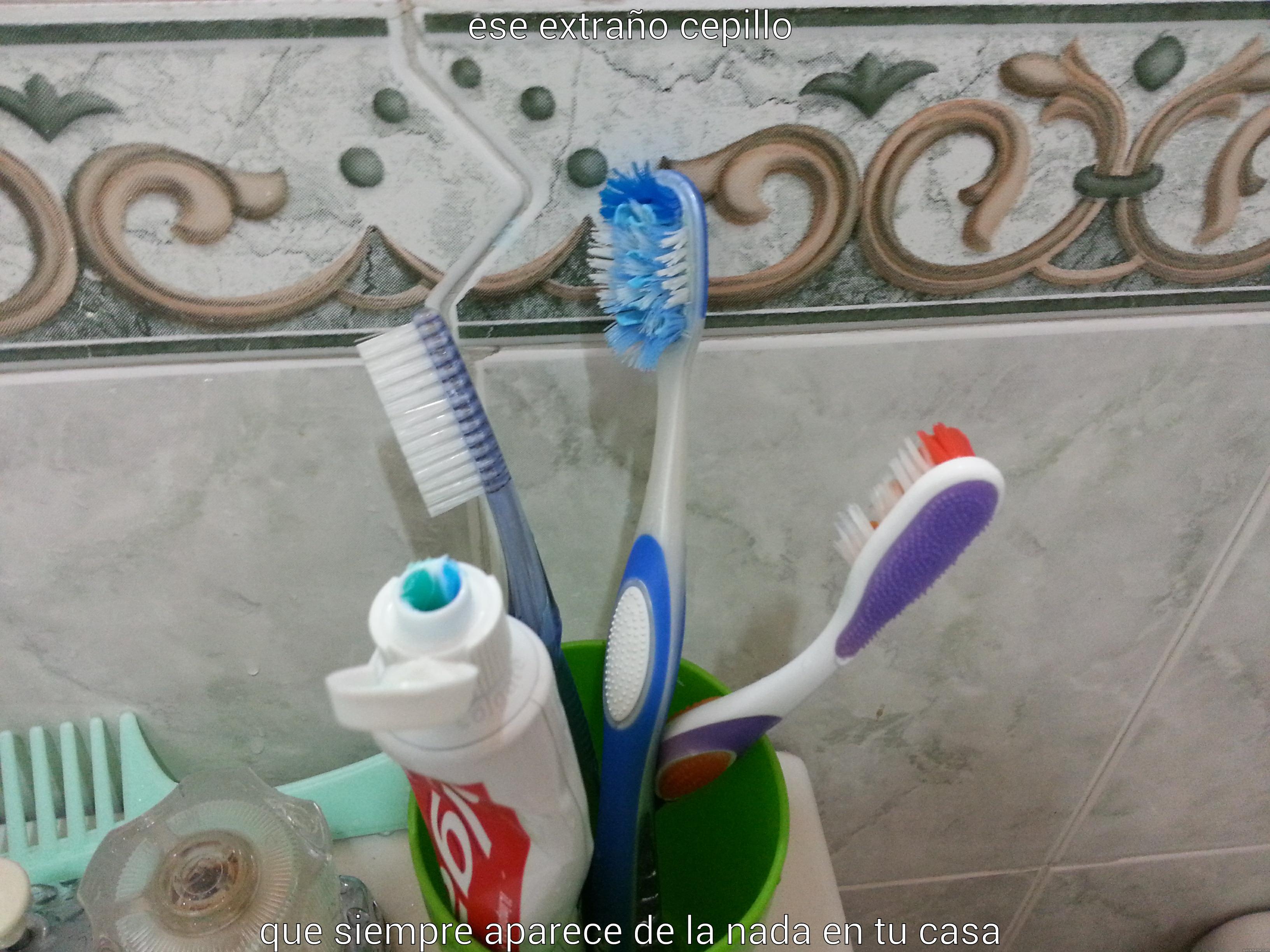 ESE EXTRAÑO CEPILLO QUE SIEMPRE APARECE DE LA NADA EN TU CASA Misc