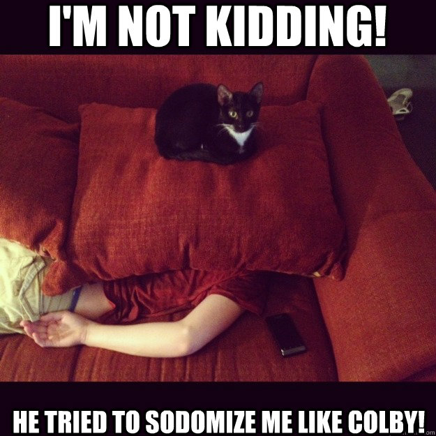i'm not kidding! he tried to sodomize me like colby!  jealous cat