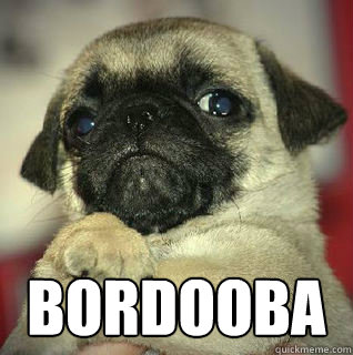  bordooba  