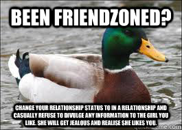 Been friendzoned?  Change your relationship status to in a relationship and casually refuse to divulge any information to the girl you like. She will get jealous and realise she likes you.    Good Advice Duck