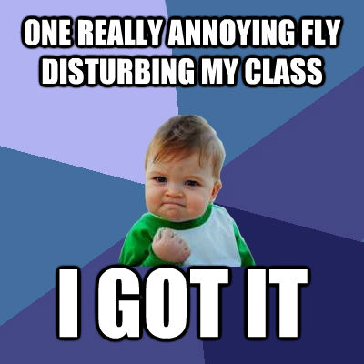 ONE REALLY ANNOYING FLY DISTURBING MY CLASS I GOT IT  untitled meme