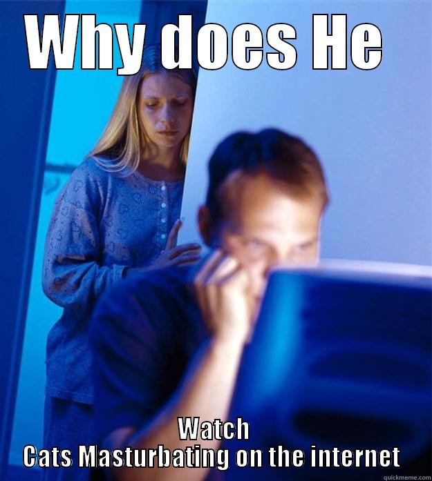 WHY DOES HE  WATCH CATS MASTURBATING ON THE INTERNET  Redditors Wife