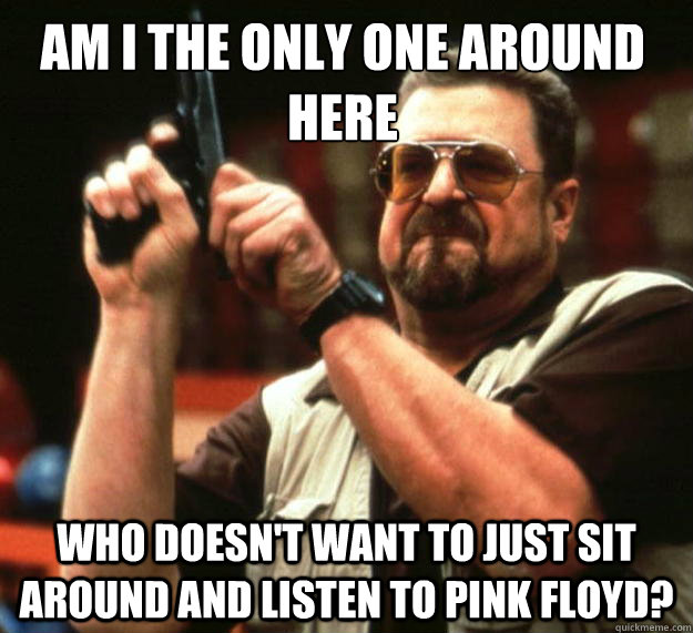 Am I the only one around here who doesn't want to just sit around and listen to pink floyd?  Walter