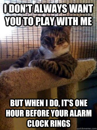 I don't always want you to play with me but when I do, it's one hour before your alarm clock rings  The Most Interesting Cat in the World