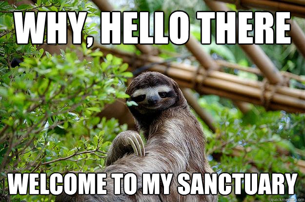 Why, hello there Welcome to my sanctuary - Why, hello there Welcome to my sanctuary  Fabulous Sloth