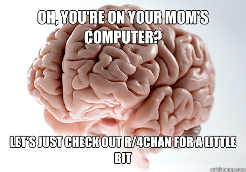 Oh, you're on your mom's computer? Let's just Check out r/4chan for a little bit  Get the [AdviceAnimals Chrome extension!](http://www.livememe.com/extension)  Scumbag Brain