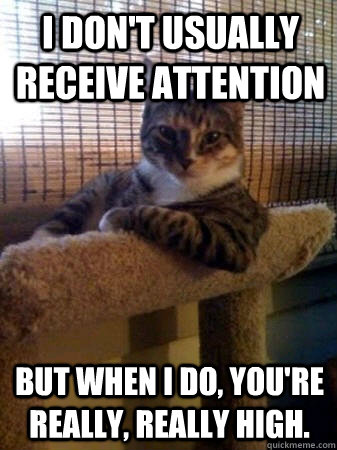 I don't usually receive attention but when I do, you're really, really high.  The Most Interesting Cat in the World