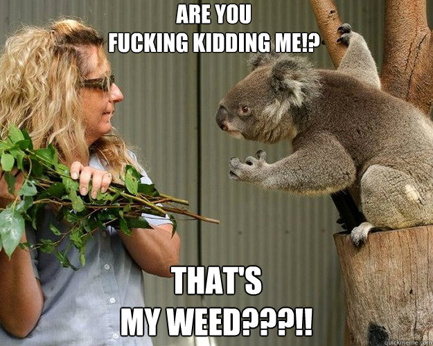 ARE YOU 
FUCKING KIDDING ME!? THAT'S 
MY WEED???!!  